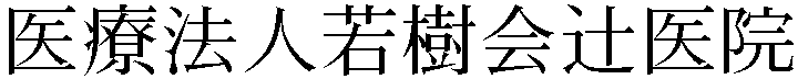 Gaiji