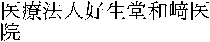 Gaiji