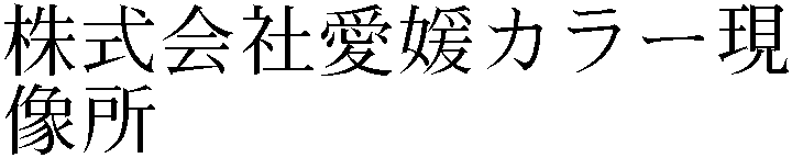 Gaiji