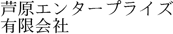 Gaiji