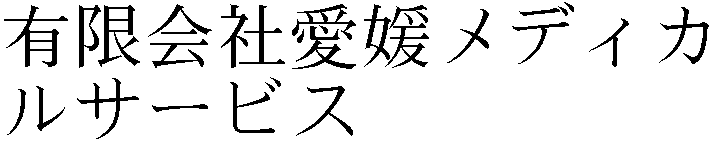 Gaiji