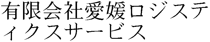 Gaiji