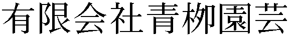 Gaiji