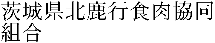 Gaiji