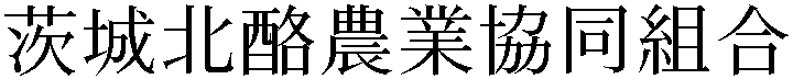 Gaiji