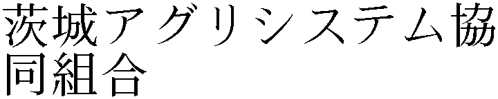 Gaiji
