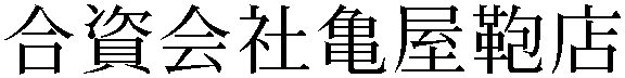 Gaiji