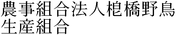 Gaiji