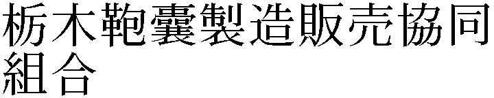Gaiji