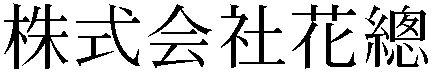 Gaiji