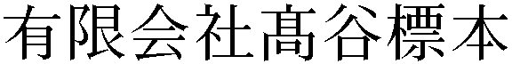 Gaiji