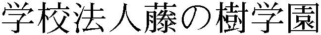 Gaiji