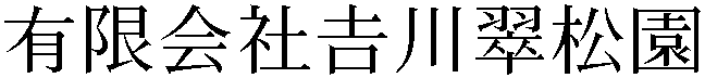 Gaiji