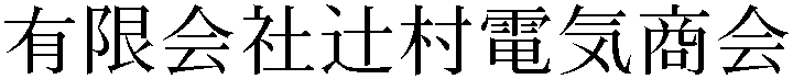 Gaiji