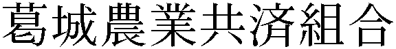 Gaiji