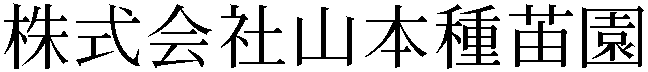 Gaiji