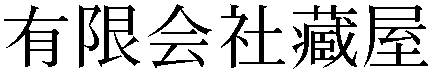 Gaiji