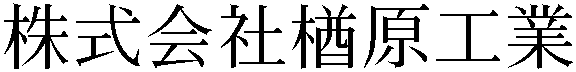 Gaiji