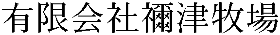 Gaiji
