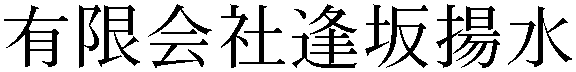 Gaiji
