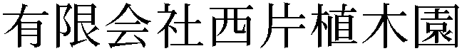Gaiji