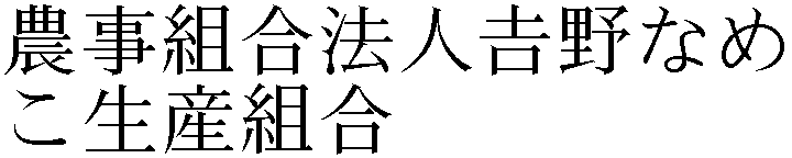 Gaiji