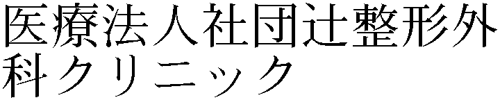 Gaiji