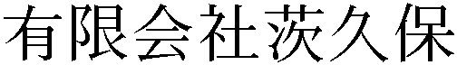 Gaiji