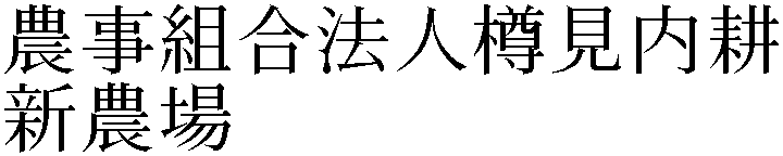 Gaiji