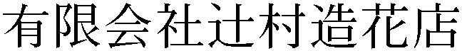 Gaiji