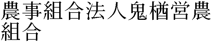 Gaiji