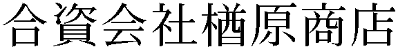 Gaiji