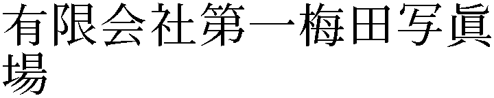 Gaiji