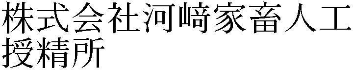 Gaiji