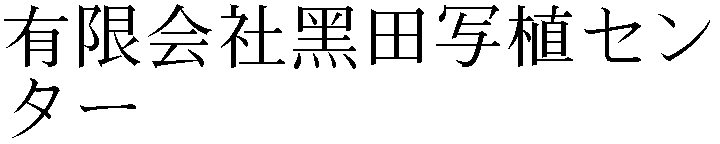 Gaiji