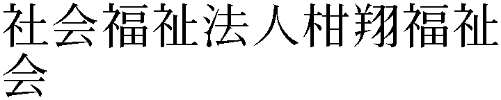 Gaiji
