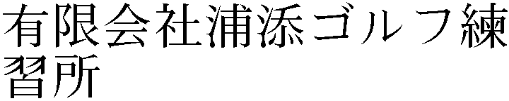 Gaiji