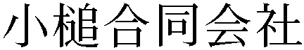Gaiji