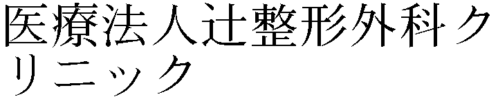 Gaiji